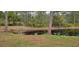 Lush backyard with a tranquil pond, showcasing the serene environment with deer at 4467 Worthington Ct, Palm Harbor, FL 34685