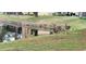 Scenic backyard with a canal and deer, enhancing the natural beauty of the property at 4467 Worthington Ct, Palm Harbor, FL 34685