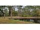 Overlooking a pond, this backyard is a mix of manicured lawn and natural landscaping, and deer at 4467 Worthington Ct, Palm Harbor, FL 34685