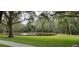 Scenic view of a pond surrounded by lush trees and greenery at 4467 Worthington Ct, Palm Harbor, FL 34685