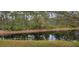 Peaceful backyard setting with a pond surrounded by green trees and a natural shoreline at 4467 Worthington Ct, Palm Harbor, FL 34685