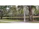 Peaceful pond surrounded by trees and lush greenery at 4467 Worthington Ct, Palm Harbor, FL 34685
