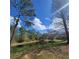 Picturesque view of a pond surrounded by lush trees and greenery at 4467 Worthington Ct, Palm Harbor, FL 34685