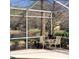 Outdoor seating and mature trees beyond the screened-in pool at 4467 Worthington Ct, Palm Harbor, FL 34685