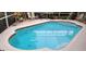 Backyard swimming pool surrounded by a tiled patio and screened-in enclosure at 4467 Worthington Ct, Palm Harbor, FL 34685