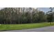 Vacant lot ready for new construction at 4467 Worthington Ct, Palm Harbor, FL 34685