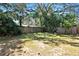 Large backyard perfect for outdoor activities at 1817 E 109Th Ave, Tampa, FL 33612