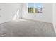 Bright bedroom with a large window and neutral carpet at 32707 Tamarind Grove Ln, Wesley Chapel, FL 33543