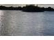 Peaceful lake view from property at 2001 Rain Dance Pl, Brandon, FL 33510