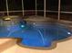 Night view of a refreshing pool and spa at 2001 Rain Dance Pl, Brandon, FL 33510