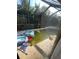 Backyard view of pool with inflatable floats at 5122 Lillilea Ln, New Port Richey, FL 34653