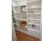 Well-organized pantry with ample shelving and drawers at 6203 N Flora Vista Ave, Tampa, FL 33604