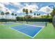 Well-maintained pickleball courts at 10211 Cleghorn Dr, San Antonio, FL 33576
