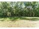 Grassy backyard with a view of the forest beyond at 22426 Golden Retriever Ln, Brooksville, FL 34601