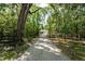 Long private driveway leading to a home surrounded by a lush greenbelt at 22426 Golden Retriever Ln, Brooksville, FL 34601