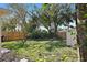 Landscaped backyard with lush lawn and storage shed at 4300 16Th N Ave, St Petersburg, FL 33713