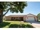 Charming one-story brick home featuring a well-maintained lawn and mature shade tree at 12210 Buttonwood Row, Hudson, FL 34667
