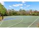 Outdoor basketball court with two hoops and ample space at 30735 Lanesborough Cir, Wesley Chapel, FL 33543