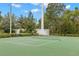 Green pickleball court with surrounding fence and trees at 30735 Lanesborough Cir, Wesley Chapel, FL 33543