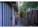 Stone pathway and lush greenery at 2406 S Clark Ave, Tampa, FL 33629