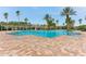 Large community pool with palm trees and brick pavers at 30552 Latourette Dr, Wesley Chapel, FL 33545