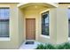 Front entrance with a brown door and side windows, nestled in a green landscape at 5648 Sunset Falls Dr, Apollo Beach, FL 33572