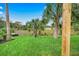 Spacious backyard with lush grass and palm trees at 6435 Finance Ave, Weeki Wachee, FL 34607