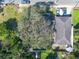 Aerial view of property showing large tree and houses at 3405 E 33Rd Ave, Tampa, FL 33610