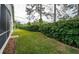 Landscaped backyard with a privacy hedge and green lawn at 1439 Hickory Moss Pl, Trinity, FL 34655