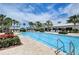 Large, inviting pool with a water slide and lounge area at 5521 Limelight Dr, Apollo Beach, FL 33572