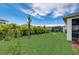 Large backyard with grassy area, tropical plants, and privacy fence at 5521 Limelight Dr, Apollo Beach, FL 33572