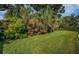 Beautiful backyard with lush, mature landscaping including tall palms, shrubs, and a neatly trimmed lawn at 2342 Hazelwood Ln, Clearwater, FL 33763