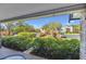 Relaxing patio view overlooking lush landscaping and parking area at 36750 Us Highway 19 N # 19106, Palm Harbor, FL 34684