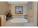 Bathroom with soaking tub and decorative accents at 17745 Gulf Blvd # 604, Redington Shores, FL 33708