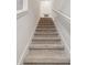 Carpeted stairs leading to the upper level at 14929 Promenade Pkwy, Odessa, FL 33556
