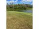 Serene pond view with lush green grass and trees at 10918 Ancient Futures Dr, Tampa, FL 33647