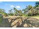 Large backyard with mature trees and open space at 404 E Morgan St, Brandon, FL 33510