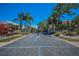 Long brick driveway leads to the security gates of the community with palm trees and lush landscaping at 3418 Braeside Pl, Clearwater, FL 33759