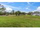 Spacious backyard with grassy lawn and mature trees at 12400 Dearborn Dr # F, Hudson, FL 34667