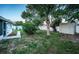 Fenced backyard with shed and mature landscaping at 12904 College Hill Dr, Hudson, FL 34667