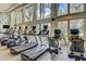 Fitness center featuring treadmills and other exercise equipment at 16610 Kingletside Ct, Lithia, FL 33547