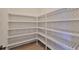 Walk-in pantry with ample shelving for storage at 2919 W Elrod Ave, Tampa, FL 33611