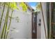 Outdoor shower with bamboo at 103 5Th N Ave, St Petersburg, FL 33701