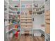 Spacious walk-in pantry with custom shelving and ample storage space at 103 5Th N Ave, St Petersburg, FL 33701