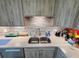 Modern kitchen sink with double basin and gray wood cabinets at 4895 Bay Ne St # 215, St Petersburg, FL 33703