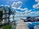 Serene lakefront property with a wooden dock and stunning water views at 168 Rue Des Chateaux, Tarpon Springs, FL 34688