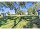 Large grassy backyard with mature trees and a small shed at 35204 Ponderosa Rd, Zephyrhills, FL 33541