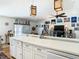 Kitchen island with double sinks and a modern faucet, overlooking living room at 8403 Wakulla Dr, Temple Terrace, FL 33637