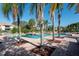 Community pool with lounge chairs surrounded by palm trees at 10263 Gandy N Blvd # 101, St Petersburg, FL 33702