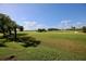 Expansive golf course view with palm trees and water feature at 1901 Oyster Catcher Ln # 814, Clearwater, FL 33762